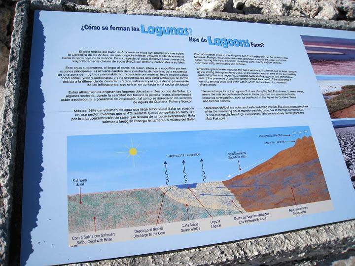 sa_cl_salar_atacama_005.jpg - Eine erklärende Tafel an der Laguna Chaxa in Chile