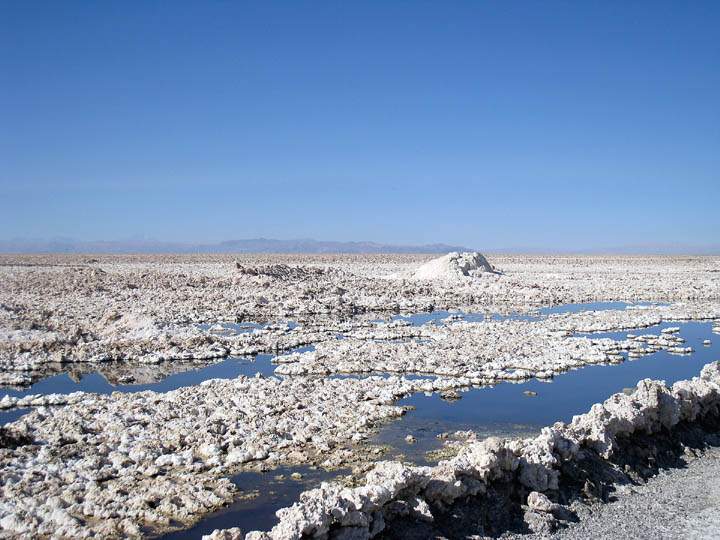 sa_cl_salar_atacama_007.jpg - Salz in der Laguna Chaxa inmitten der Salar de Atacama