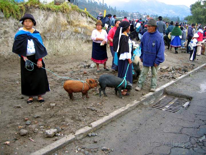 sa_ecuador_007.jpg - Der Eingang zum Viehmarkt in Otavalo in der Provinz Imbabura