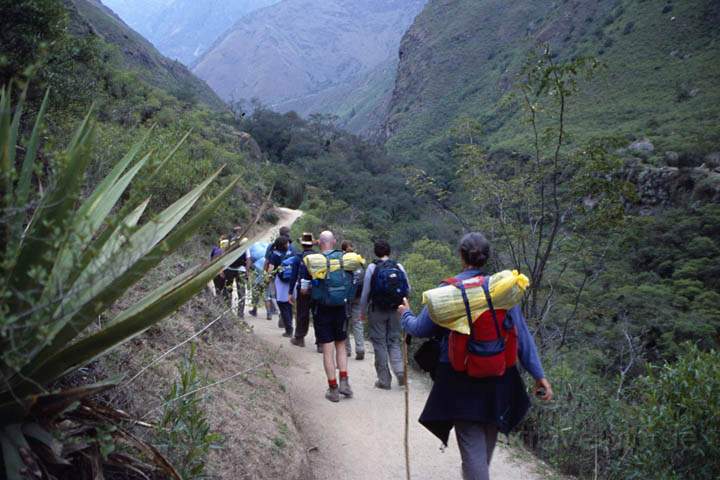 sa_pe_inka_trail_004.jpg - Zu Fuß unterwegs auf dem Inka Trail nach Machu Picchu